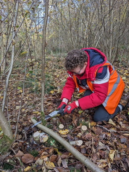 Coppicing at Monkwood with Wildgoose
