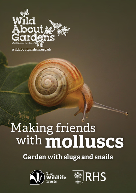 Front cover of Wild About Gardens booklet - making friends with molluscs featuring the title and an image of a small snail at the end of an oak leaf