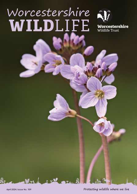Front cover of spring 2024 membership magazine featuring a close up of cuckoo flower by Wendy Carter