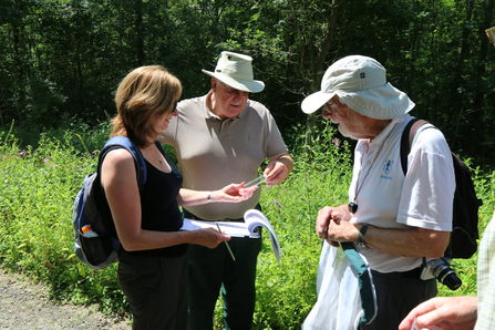 Three people looking at an insect in a plastic tube - one has a clipboard and one has a large net for sweeping through grass to look for invertebrates