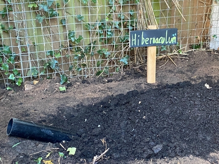 Sign stating 'Hibernaculum' besides a patch of recently disturbed ground with a pipe sticking out