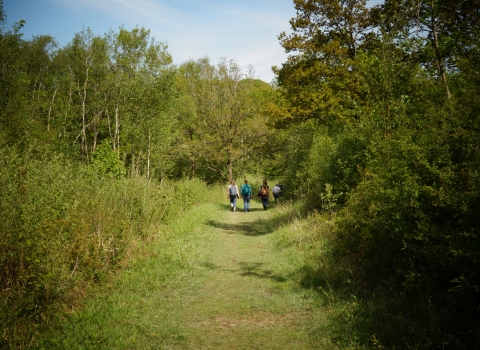 People walking along a path at Trench Wood 
