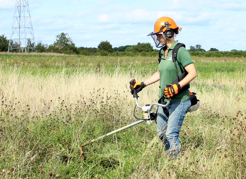 Woman using brush-cutter equipment to cut long grass in a field by Lauren Roberts