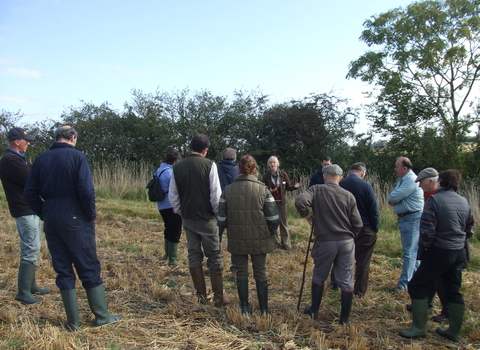 Female member of WWT staff talking to a group of farmers (with backs to the camera) in a field at Lower Smite Farm with a hedge behind the group