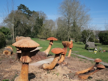 7 carved fungi in Welland Cemetery