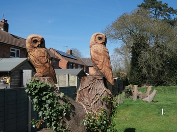 Two owls carved out of the top of two dead tree stumps
