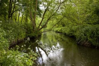 Droitwich Community Woods