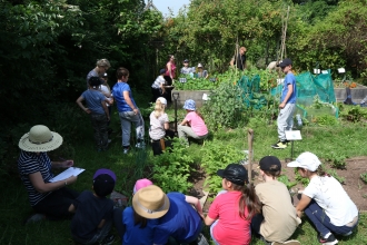 Schoolchildren learning about food