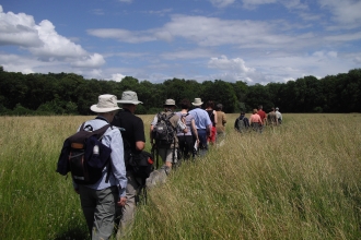 Walk to Grafton Wood by Zoe Stevens