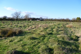 Humpy Meadow by James Hitchcock