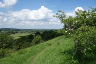 Windmill Hill by Wendy Carter