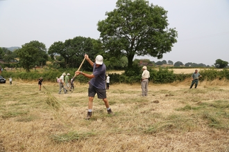 Hay spreading at Hollybed Farm Meadows by Chris Ellory