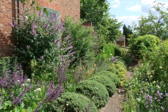 Wildlife-friendly garden by Paul Lane