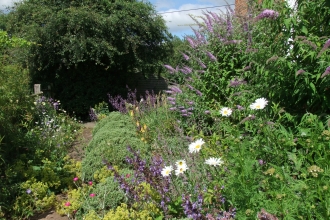 Lower Smite Farm wildlife-friendly garden by Paul Lane