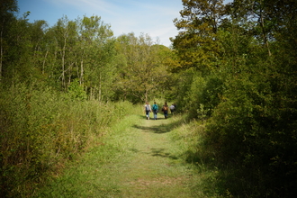 People walking along a path at Trench Wood 