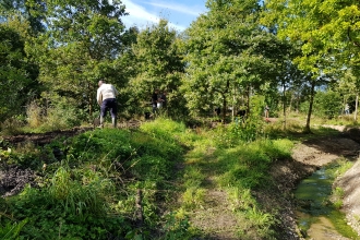 Work taking place on Church Hill Brook for Natural Networks by Katie Ainsworth