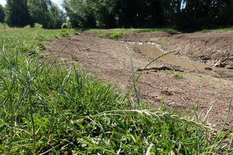 Duck Brook during restoration by Jasmine Walters