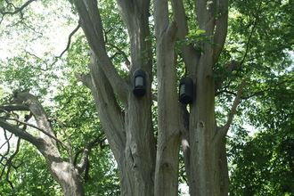 Bat boxes at Rectory Wood by Sean Webber