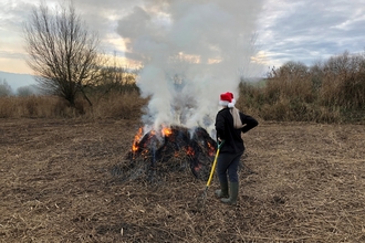 Bonfire of reeds by Ruthie Cooper