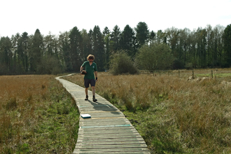 Man in shorts and green polo shirt walking along a boardwalk at Ipsley Alders Marsh with trees in the background by Ruthie Cooper