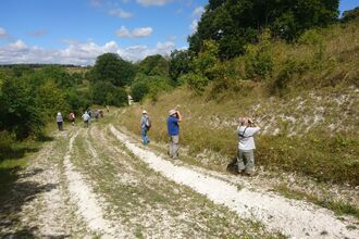 Adults walking down a track, two of them are standing at the side looking through binoculars by Wendy Carter