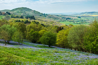 The Malvern Hills in spring - British Camp in the distance and bluebells in the foreground by Paul Lane