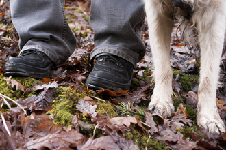 A pair of feet with a pair of paws alongside them by Katrina Martin/2020VISION