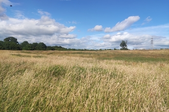 Grassland at Lower Smite Farm on a sunny day with a blue sky by Romy Clarke