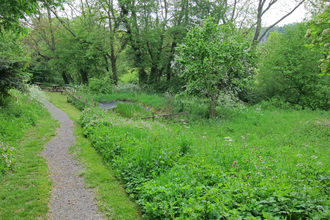 A path at The Knapp and Papermill that leads to a picnic area in the distance with an overgrown pond on the right hand side by Sean Webber