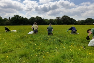 Volunteers in a field at Green Farm by Patrick Taylor