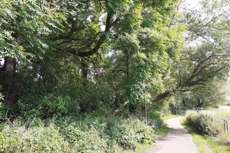 Looking north. Battlefield brook is to the left but protected from view with woodland. There is a path to the right.