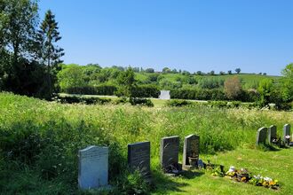 A view of a churchyard. Behind the graves, a section has been left to grow, with long grasses and wildflowers. There is a cricket pitch in the distance.