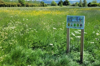 Natural Networks wildflowers sign next to a project to create a wildflower-rich meadow
