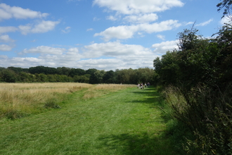 Newtown Green - large field surrounded by hedge and trees, part of the field is mown for walking and part is left unmown by Liz Yorke