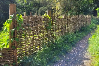 Fence made of hazel hurdles lining a path by Becca Bratt