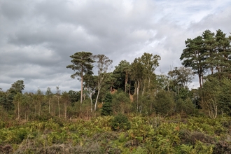 The Devil's Spittleful nature reserve