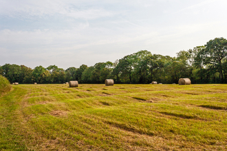 Undulating landscape of ridge and furrow in a field with bales of hay and a woodland in the background