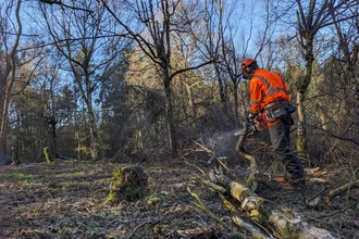 An individual in an orange hi-vis crosscutting