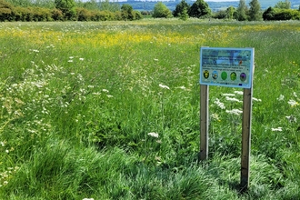 The meadow at The Leys in June. There is a sign to the right.