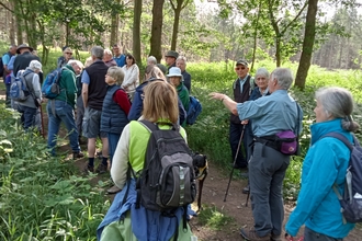 Wyre Forest local group walk