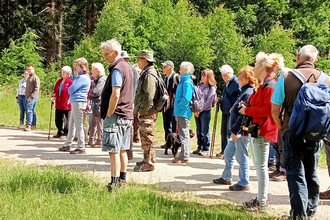 Wyre Forest local group walk