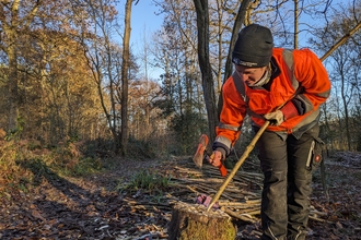 Trainee Anna coppicing