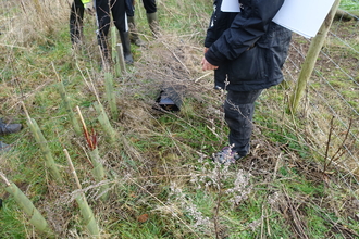 Footprint tunnel at Dropping Well Farm