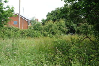 The view of webheath wild space, with houses in the background
