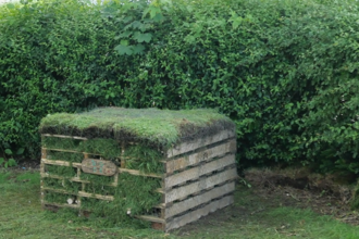 Bug hotel by a hedge