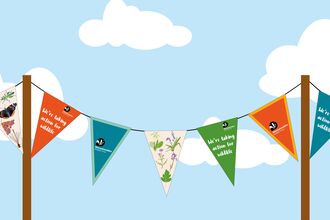 Illustrated bunting with illustrations of wildlife and 'we're taking action for wildlife' written on them