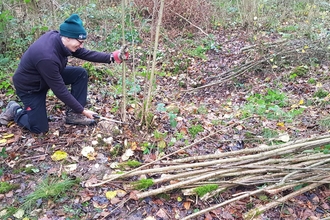 Trainee Derren with a coppice drift