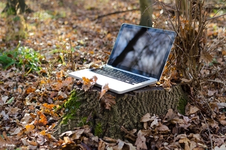 An open laptop resting on a tree stump in a woodland in autumn