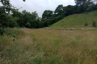 Meadow and bank at Hollow Meadow
