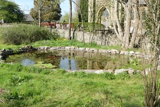 A pond in the middle of the photo with grass in the foreground and a church in the background